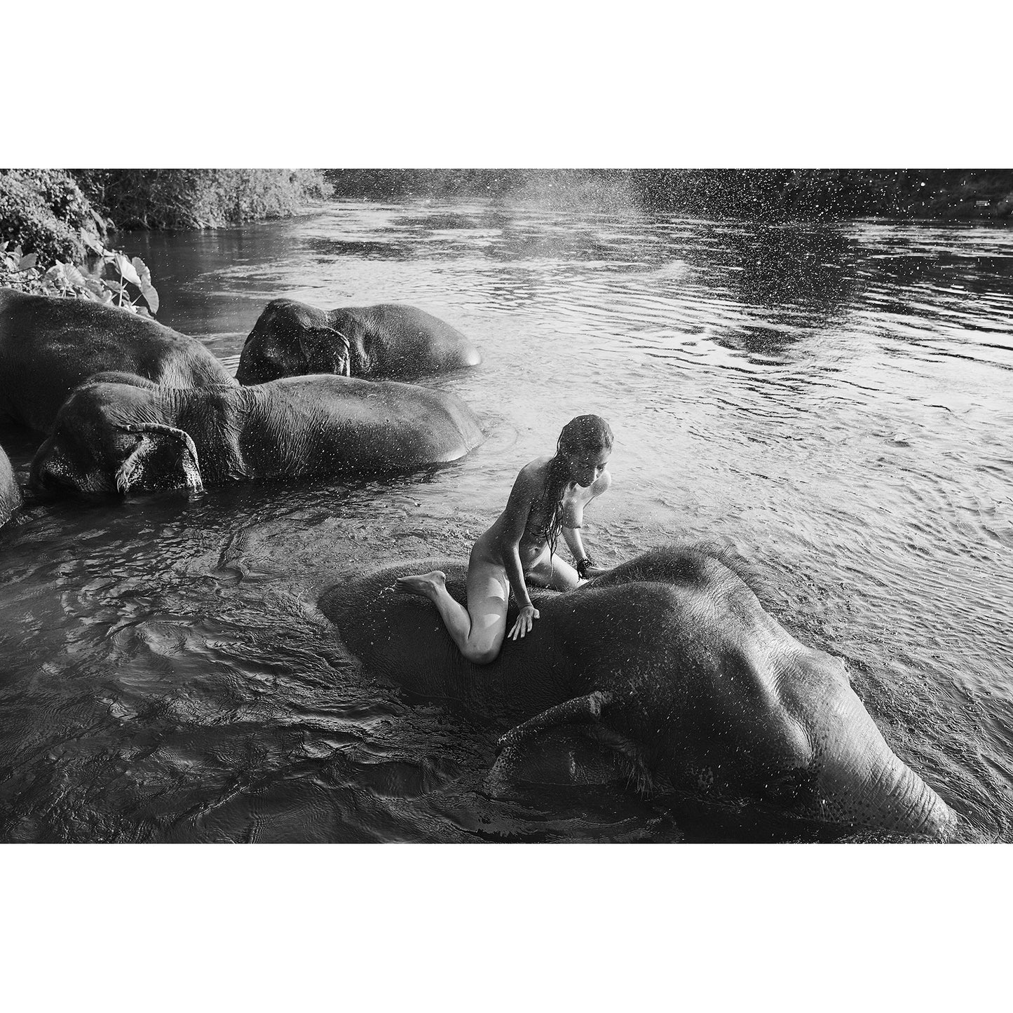 FINE ART PRINT "Emilie and the elephants" / Emilie, Thailand 2019